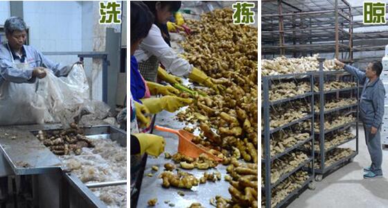 不用硫磺如何清洗生姜？